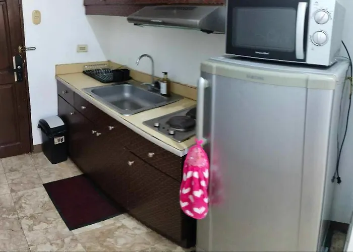 Appartement Big 1 Bedroom Beside De La Salle Taft